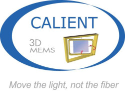 Calient Technologies Stock