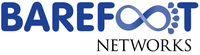 Barefoot Networks Stock