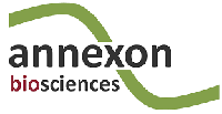 Annexon Biosciences Stock