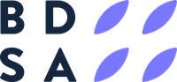 BDS Analytics Stock