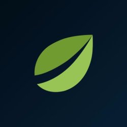Bitfinex Stock