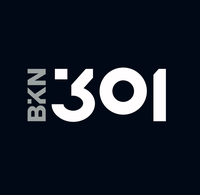 BKN301