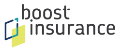 Boost Insurance Stock