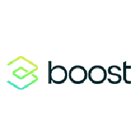 Boost Insurance Stock
