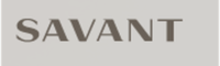 Savant Systems Stock