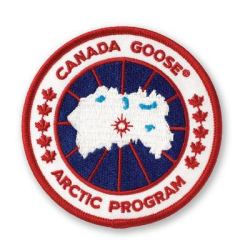 canada goose Stock