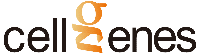 CellGenes Biotechnology