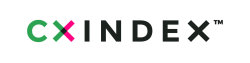 CX Index Stock