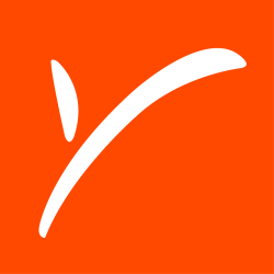 Payoneer Stock