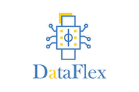 DataFlex