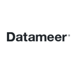 Datameer Stock