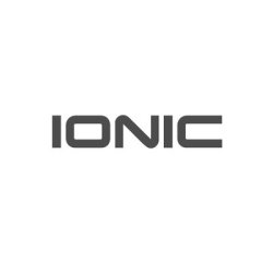 Ionic Security Stock