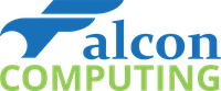Falcon Computing Solutions Stock