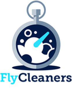 FlyCleaners Stock
