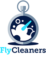 FlyCleaners Stock