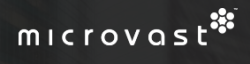 Microvast Stock