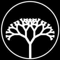 Braingrid Corporation Logo