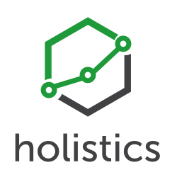 Holistics Software Stock