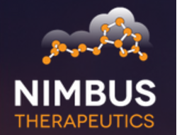 Nimbus Therapeutics Stock