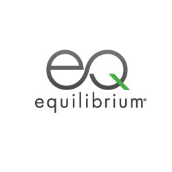 Equilibrium Stock
