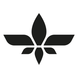 Lilium Aviation Stock