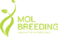 Mol Breeding