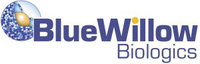 BlueWillow Biologics Stock