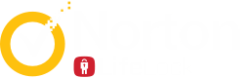 NortonLifeLock Stock