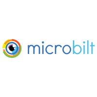 MicroBilt Corporation Stock