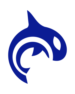 Orca Health Stock