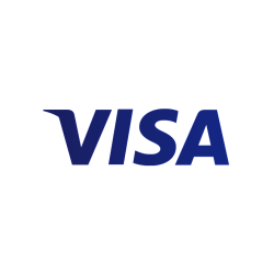 Visa Stock