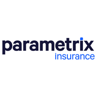Parametrix