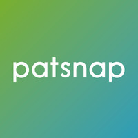 PatSnap Stock