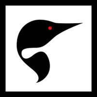 Loon Stock