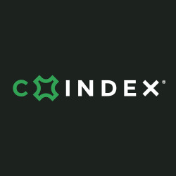 CX Index Stock