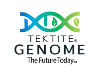 Tektite Genome