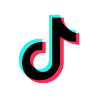 TikTok Stock