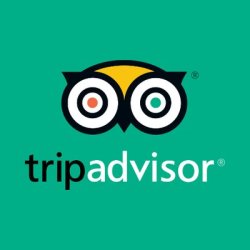 TripAdvisor Stock