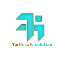 TurtleSoft Solution