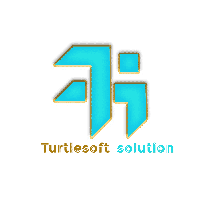 TurtleSoft Solution