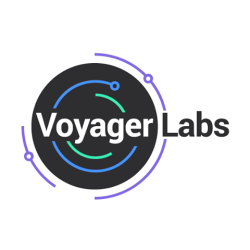Voyager Labs Stock
