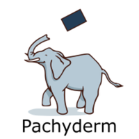 Pachyderm Stock