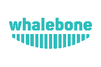 Whalebone