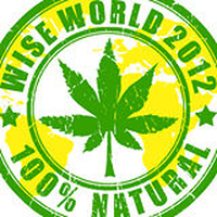 Wise World 2012 Stock