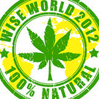 Wise World 2012