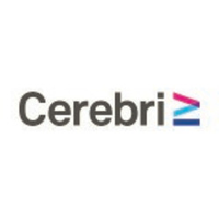 Cerebri AI Stock