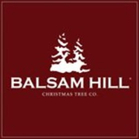 Balsam Hill Stock