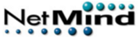 NetMind Stock